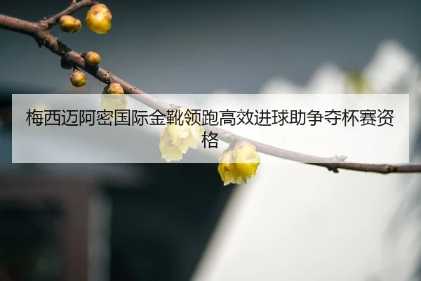 mei-xi-mai-a-mi-guo-ji-jin-xue-ling-pao-gao-xiao-jin-qiu-zhu-zheng-duo-bei-sai-zi-ge-3-818.jpg