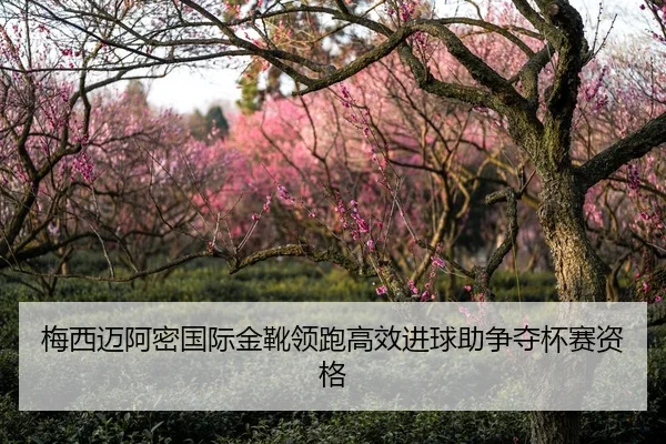 梅西迈阿密国际金靴领跑高效进球助争夺杯赛资格
