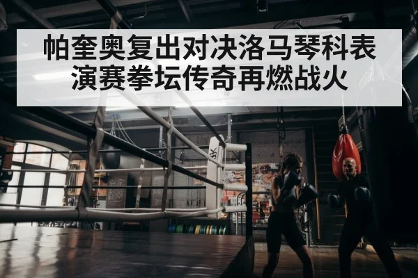 boxer training
