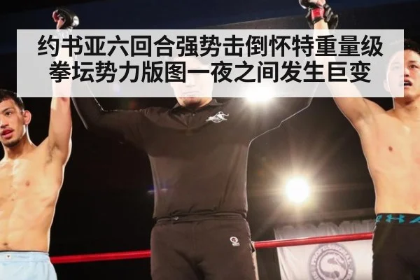 约书亚六回合强势击倒怀特重量级拳坛势力版图一夜之间发生巨变